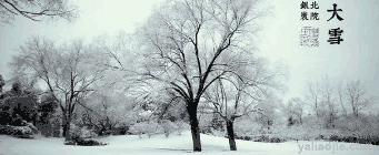 关于大雪节气的诗句有哪些(关于大雪节气的诗句有哪些三年级)